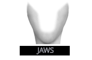 JAWS