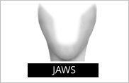 JAWS