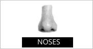 NOSES