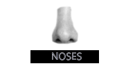 NOSES